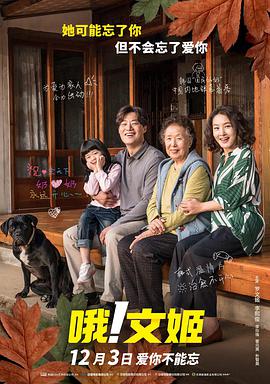 顾少的隐婚罪妻电视剧免费