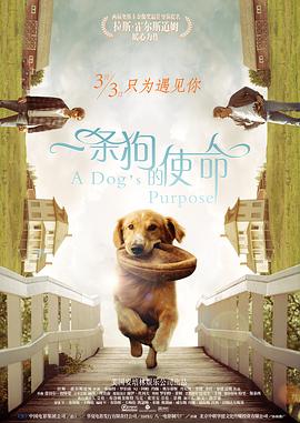 欧美激情视频一区二区免费