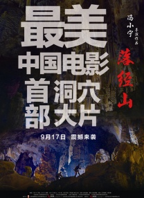 久久九九精品