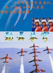 按司机
