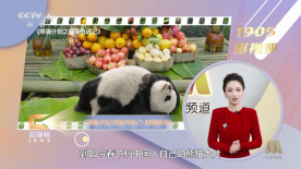 性爱女的秘密